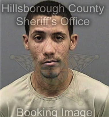 Erik Gritzinger, - Hillsborough County, FL 