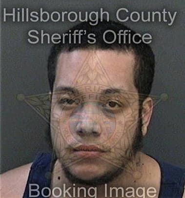 Joshua Linares, - Hillsborough County, FL 