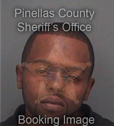 Vidall Pierce, - Pinellas County, FL 