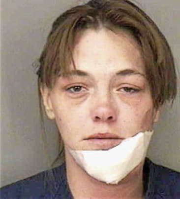 Ashley Smith - Polk County, FL 