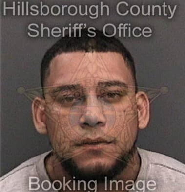 Osdany Tabares-Milian, - Hillsborough County, FL 