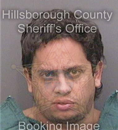 Felipe Fernandeztecalco, - Hillsborough County, FL 