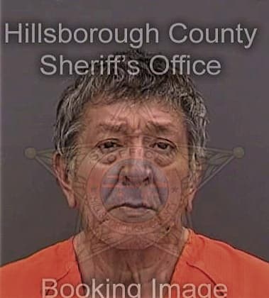 Wilfred Maldonado-Santos, - Hillsborough County, FL 