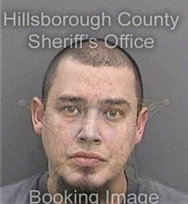 Adan Martinezdavalos, - Hillsborough County, FL 