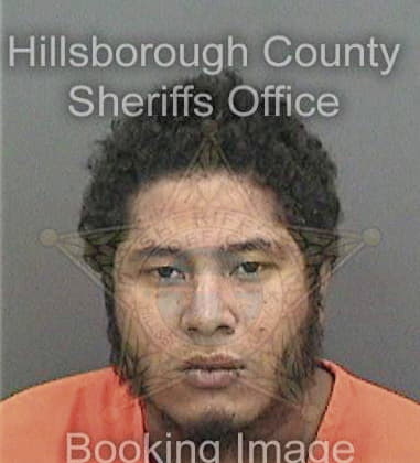 Michael Ortiz, - Hillsborough County, FL 