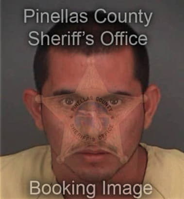 Charrez Pedraza, - Pinellas County, FL 