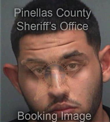 Jeffrey Selezan, - Pinellas County, FL 