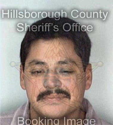 Ibrahim Shanik, - Hillsborough County, FL 