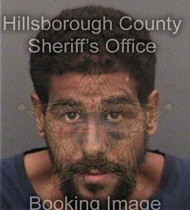 Michael Valentine, - Hillsborough County, FL 