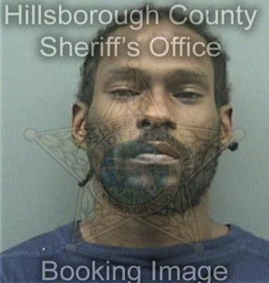 Terick Brown, - Hillsborough County, FL 