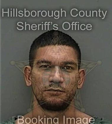 Michael Ferguson, - Hillsborough County, FL 