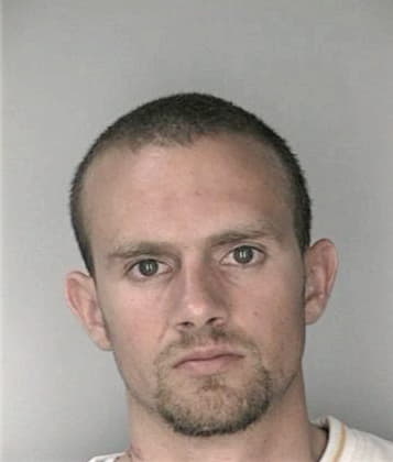 Salvador Hernandezsantiz - Hillsborough County, FL 