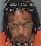 Edward Johnson, - Pinellas County, FL 