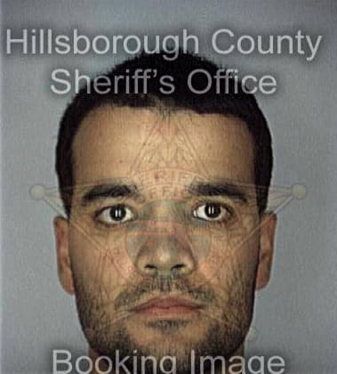 Anthony Robertson - Hillsborough County, FL 