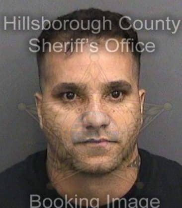 Robert Williams, - Hillsborough County, FL 