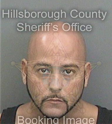 Noe Alegria, - Hillsborough County, FL 