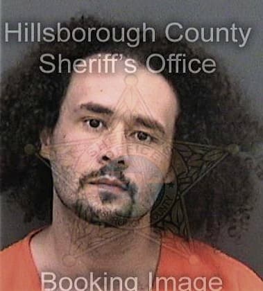 Michael Barone, - Hillsborough County, FL 