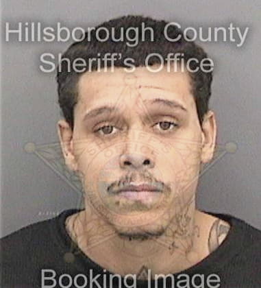 Curtis Blue - Hillsborough County, FL 