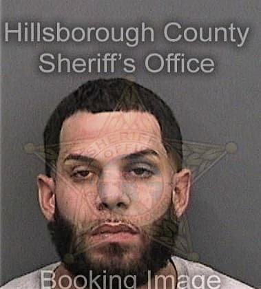 David Carr, - Hillsborough County, FL 