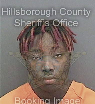 Deauntae Cobb - Hillsborough County, FL 