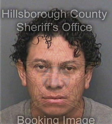 Danny Devane, - Hillsborough County, FL 