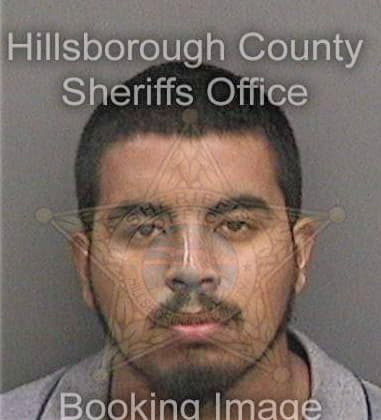 Nathan Faigley, - Hillsborough County, FL 