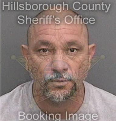 Angel Lopezruiz, - Hillsborough County, FL 