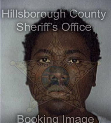 Terrence McCarthren - Hillsborough County, FL 