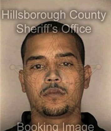 Robert McNabb - Hillsborough County, FL 