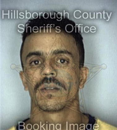 David Messier - Hillsborough County, FL 