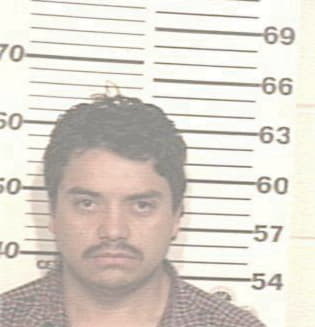 Mario Rosas, - Hidalgo County, TX 