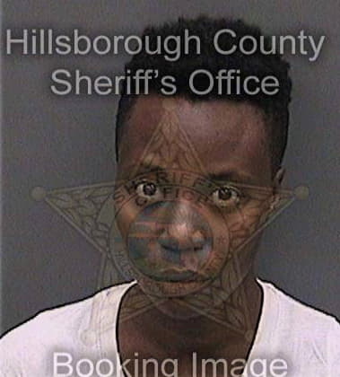 Avrel Georges, - Hillsborough County, FL 