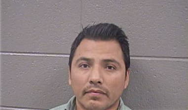 Ludwig Guiza, - Cook County, IL 
