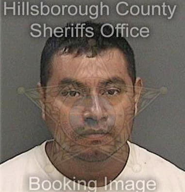 Lon McCall - Hillsborough County, FL 