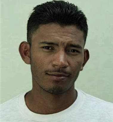 Henry McGall - Hillsborough County, FL 