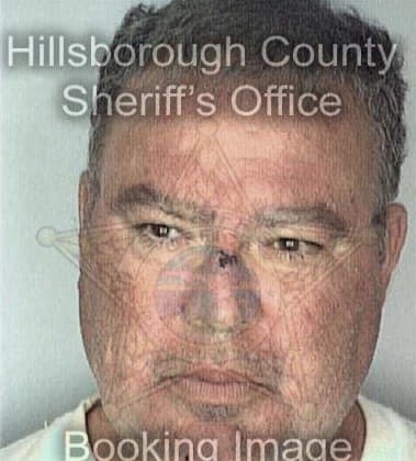 Gregory Michaud - Hillsborough County, FL 