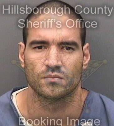 Edward Santiago, - Hillsborough County, FL 