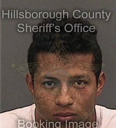 Steven Tanner, - Hillsborough County, FL 