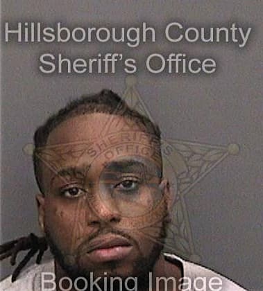 Theodore Williams, - Hillsborough County, FL 