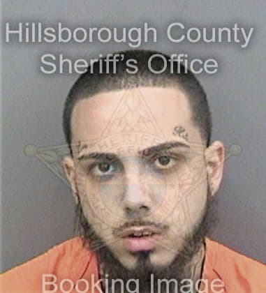 Zachary Alfonso, - Hillsborough County, FL 