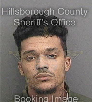 Justin Glenn, - Hillsborough County, FL 