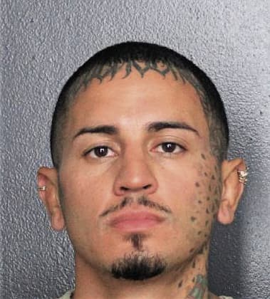 Damian Gonzalez, - Broward County, FL 