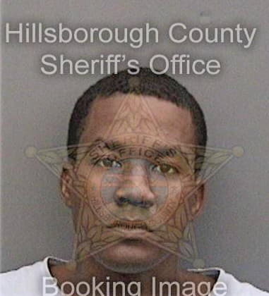 Deandra Jenkins, - Hillsborough County, FL 