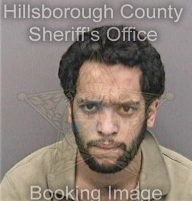 Vincent Mendola - Hillsborough County, FL 
