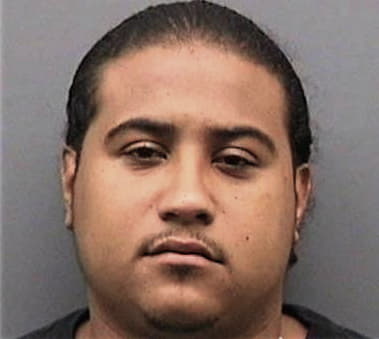 Troy Mineo - Hillsborough County, FL 