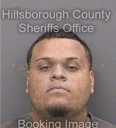 James Pellitteri, - Hillsborough County, FL 