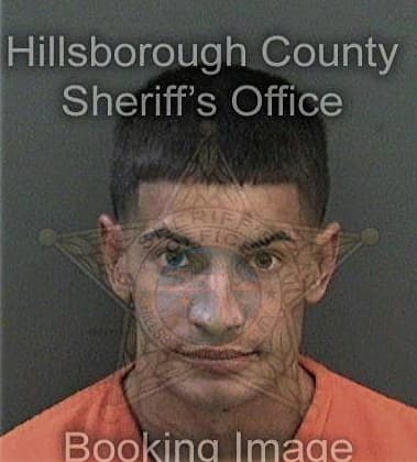 Wojciech Podwojcik, - Hillsborough County, FL 