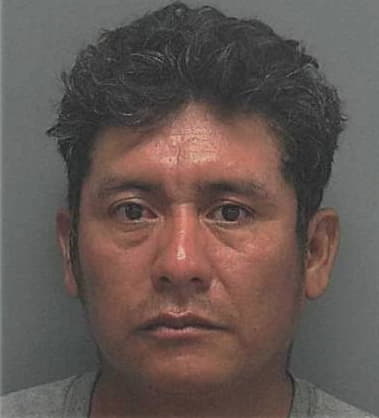 Mario Ramon, - Lee County, FL 