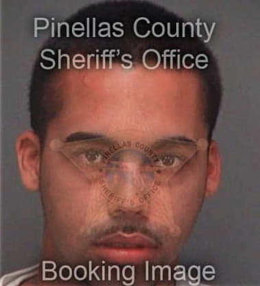 Miquel Sanchez, - Pinellas County, FL 