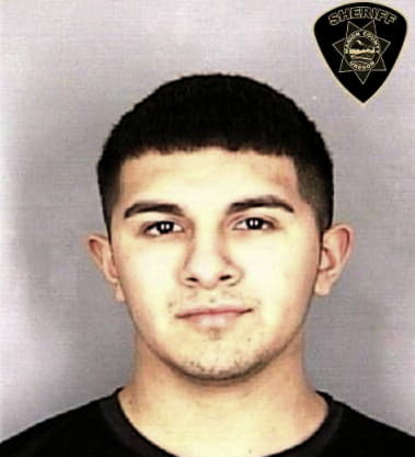 Mario Vergara-Silva, - Marion County, OR 